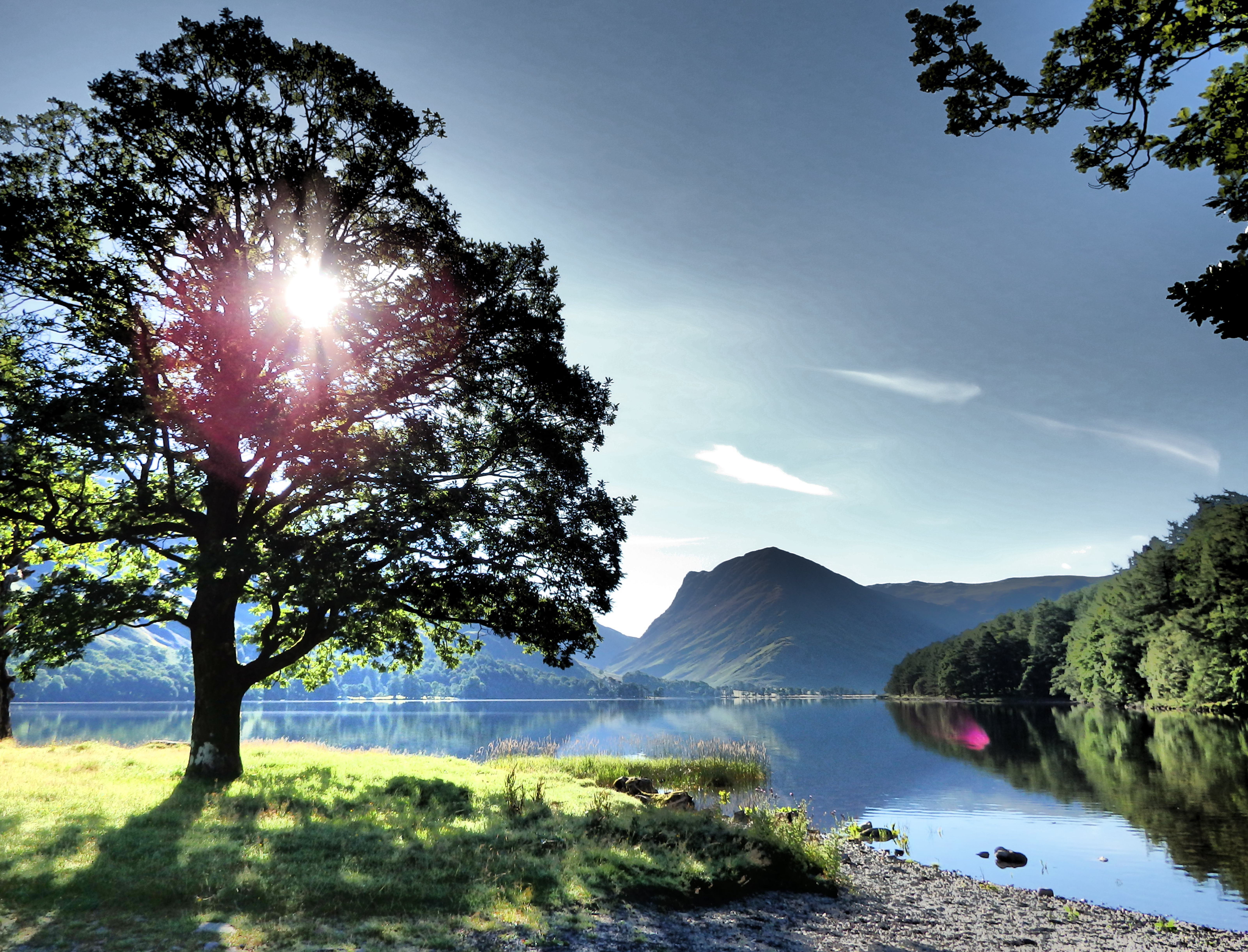 Picturesque lake views with a tree
